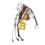 Letter B Color Baseball Baseball Bag 5