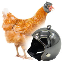 (Black) 1PC Chicken Helmet PP Funny Helmets Pet Supplies For Bird Hens Chick Pet