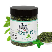 Organic Catnip for Cats | Premium Cat Nip for Interactive Play and Relaxation - Fresh Cat Mint Plant Set for Kittens