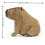 Capybara Plüschtier für Kinder, 40 cm 5