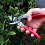 ARS-VS-8XZ Pruning Shears with Advanced VS Technology 10