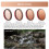 Objektivfilter für Action-Kamera-Zubehör ND-Kit 8