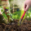 Garten Manueller Unkrautstecher Einfaches Unkrautzieher-Unkrautmesser-Werkzeug 5