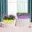 4 Packs 17 Inches Flower Window Box Plastic Vegetable 6