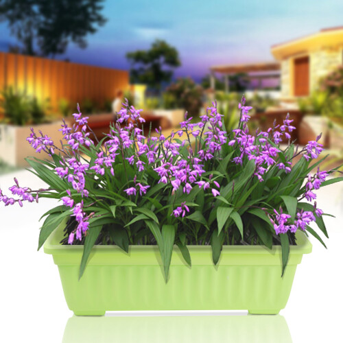 4 Packs 17 Inches Flower Window Box Plastic Vegetable 2