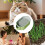 Cat Grass Planting Box Hydroponic Pot for Cats, Beginner-Friendly Hydroponic Tray with Bottomless Water Solution 4
