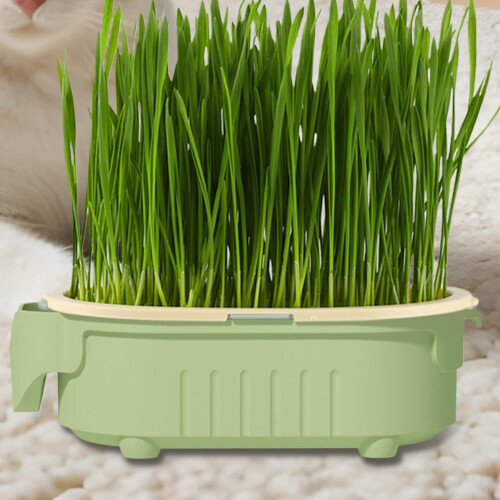 Cat Grass Planting Box Hydroponic Pot for Cats, Beginner-Friendly Hydroponic Tray with Bottomless Water Solution 1