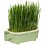 Cat Grass Planting Box Hydroponic Pot for Cats, Beginner-Friendly Hydroponic Tray with Bottomless Water Solution 1