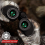 20X50 Zoom Telescope HD Powerful Binoculars-Black 11
