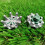 16 Pcs Golf Spikes Replacement ,Golf Shoe Spikes,Golf Cleats 11