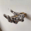 Rack Robotic
Storage 10