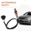 Oxygen Sensor for XTS 10