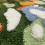 Irregular green and yellow moss carpet 6