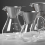 Glass Coffee Pot with Filter High Temperature Resistant 600ml 3