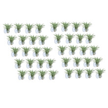 40 Pcs Air Plant Holder, Plant Pot Tillandsia Holder Air Plant Hanger with Suction Cup for Hanging (Plants Not Included)