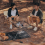 Large BBQ Mat, Outdoor Fireproof Mat,L 5