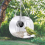 Bird Feeder with Camera WiFi Remote Connection to Mobile Phone 3