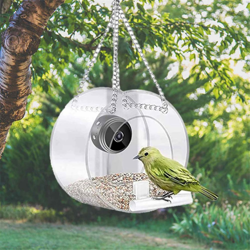 Bird Feeder with Camera WiFi Remote Connection to Mobile Phone 2