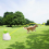 Dog Automatic Ball Launcher for Small or Medium Dogs, UK Plug 2
