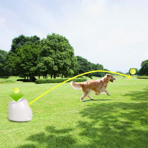 Dog Automatic Ball Launcher for Small or Medium Dogs, UK Plug 1