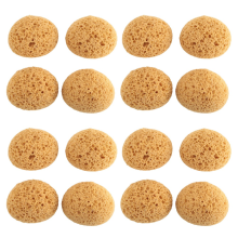 16Pcs Texture Sponge Drywall Patch for Repair DIY Painting Ceiling (12 x 9 7cm)