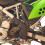 Motorcycle Frame Side Cover Protection 4
