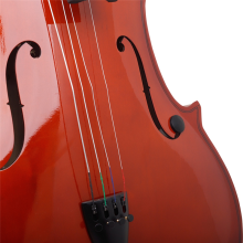 Cello Sound Hole Humidifier F Violin