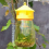 20 Pack Fly Reusable Traps, Fruit Traps Catcher Outdoor 4