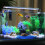 IntelligentAquarium Heater Rod 50W Efficient 4