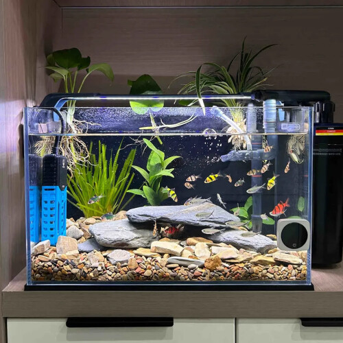 IntelligentAquarium Heater Rod 50W Efficient 1
