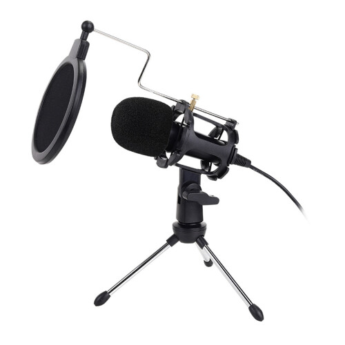 CondenserMicrophone Set with Desktop Stand B 2