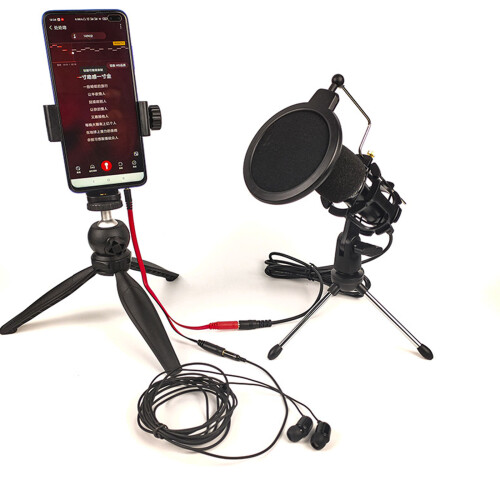 CondenserMicrophone Set with Desktop Stand B 1