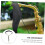 Saxophone Shoulder Strap Adjustable Neck Strap with Strong Hook Comfortable Durable Black Design for Musicians 5