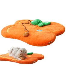 Cat Bed Pad, Plush Thermal Mat for Cats, 68 x 55 cm Winter Warmth, Cute Cartoon Design for All Cat Breeds