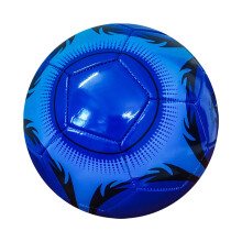 Professional Size 5 Soccer Ball with Excellent Elasticity and Durability, Blue Color for Competitive Play