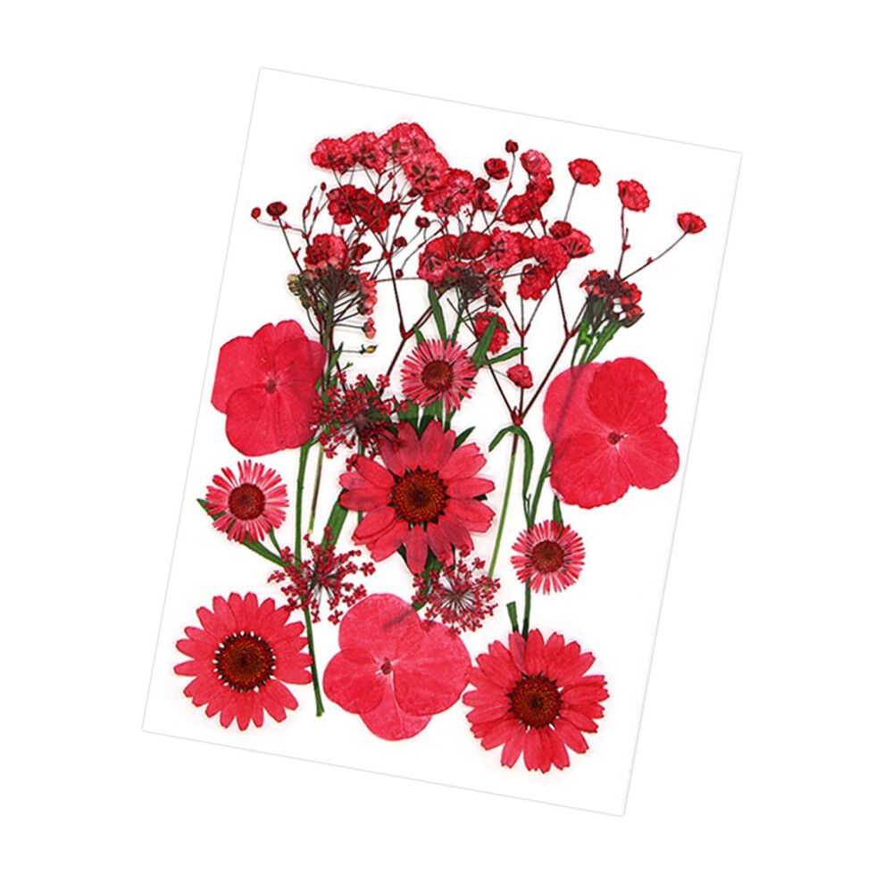 Dried Pressed Flowers and Leaves Kit for Nail Art, Real Dried Flowers, Red Color, DIY Craft Supplies