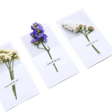 Hochzeitskarte Set 10 Stück Trockenblumen Grußkarten Handgeschriebene Einladungen Dankeskarten Umschläge 10pcs Random