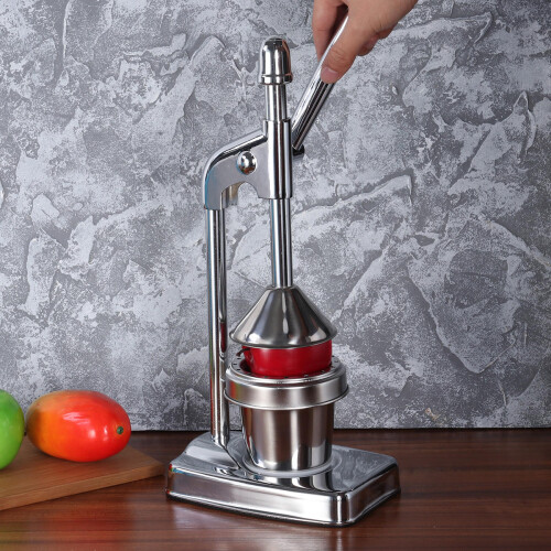 Fruit Mixer Juicer Fruit Machine Vegetable Silver 2