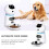 1 Set Of Automatic Feeders For Cats White With Digital Timer 8