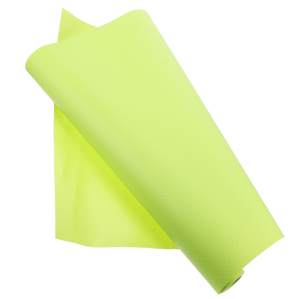 Lizard Carpet Reptile Carpet Light Green Eva 1set Washable