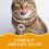 1Collier ABS Pour Chat Style Élégant Sûr 10