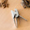 3Pcs Silver Shell Separator Nut Peeling Clip Melon Seed Opener 7