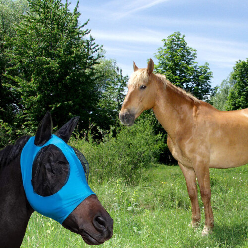 Prevention Head Protective Mask Riding Horses 2