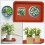 10 Pcs Rectangular Planter Saucers Flower Pot Tray 8