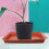 10 Pcs Rectangular Planter Saucers Flower Pot Tray 5