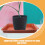 10 Pcs Rectangular Planter Saucers Flower Pot Tray 6