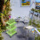 Worgeous  Planting Tray Set Sprouting Germination Sturdy Space-Saving 11