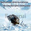 For Electromagnetic Snow Removal Device 4
