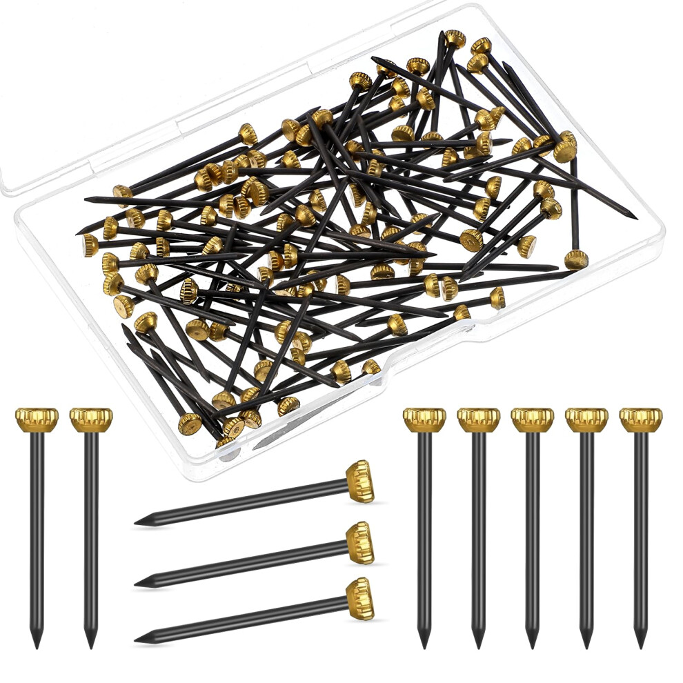 Picture Hanging Set Of 100 With 25Mm Brass Head Nails, Picture Hangers, And Storage Box For Frames And Artwork 6447073856815