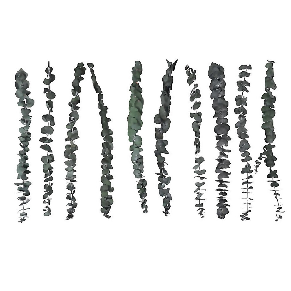 For 10pack Natural Dried Eucalyptus Bundlepreserved Fresh Eucalyptus Branches For Flower Arrangement-image-OPC-PJWVGCR-NEW